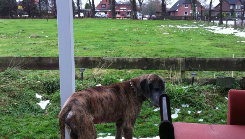 Otto_11_12_2010