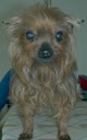 Charlie